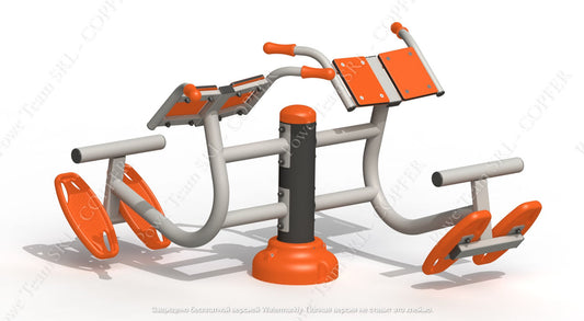 Aparat fitness dublu